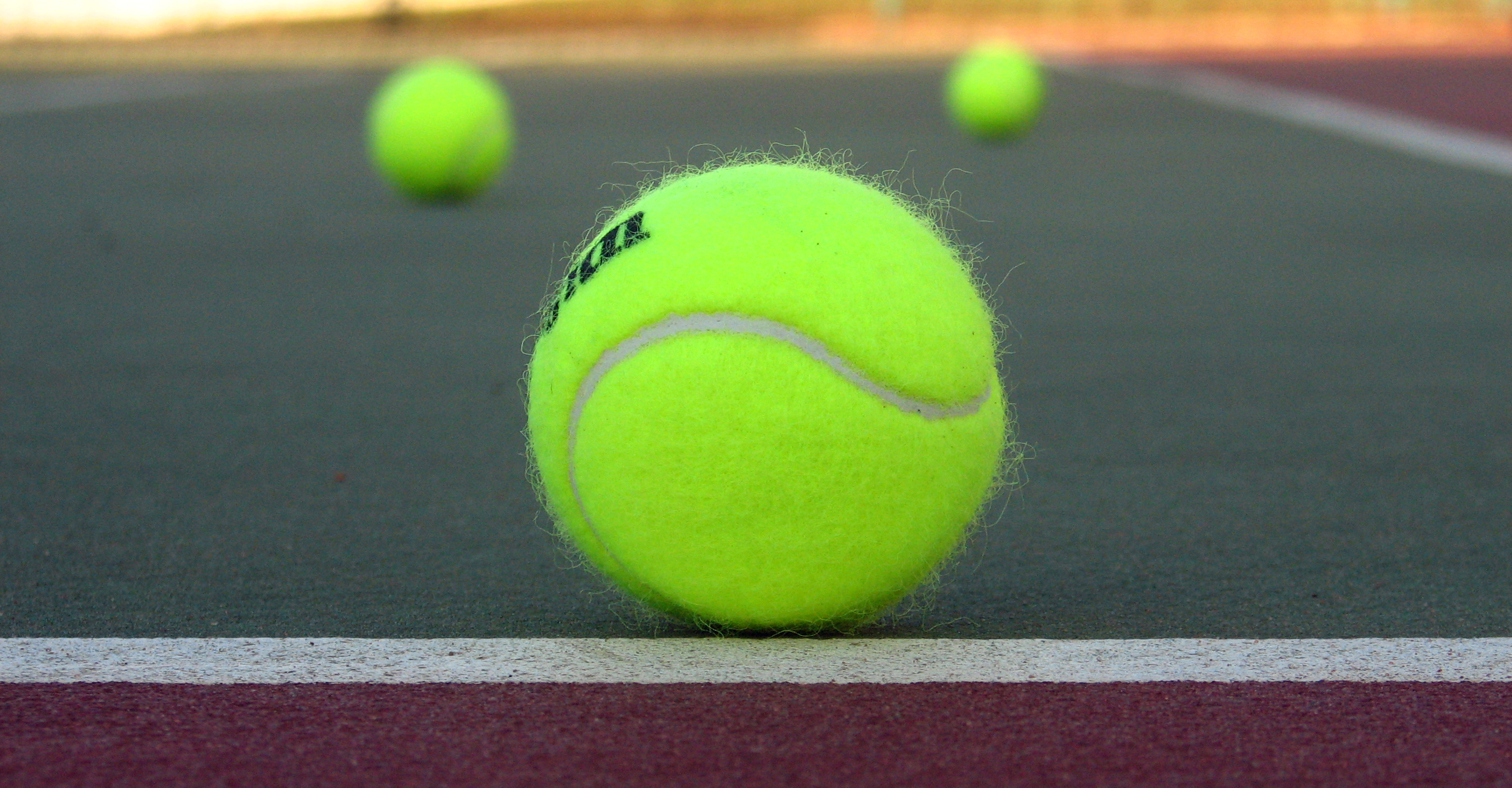 Venus Will Be a Comeback Kid