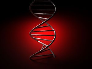 Getting to Know Your Ovarian Cancer Type