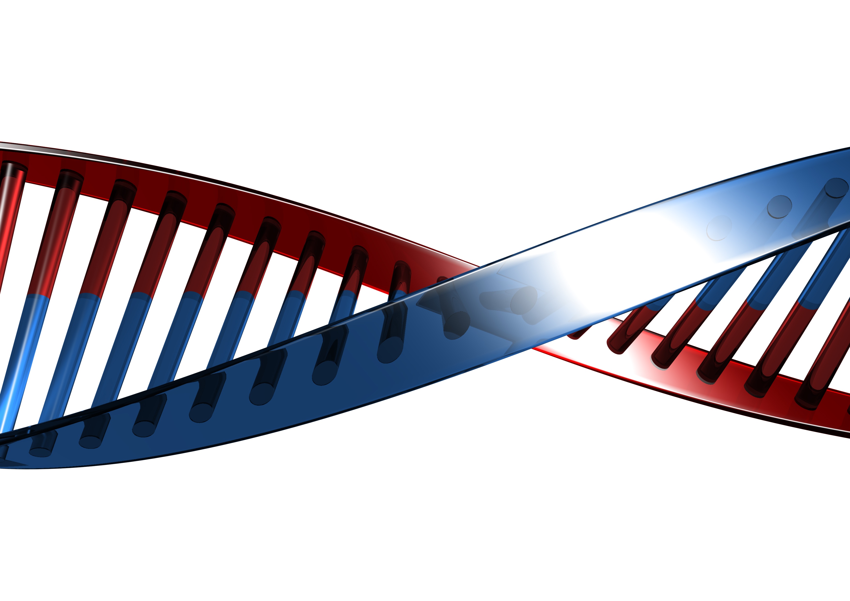 Autism's DNA Identified 