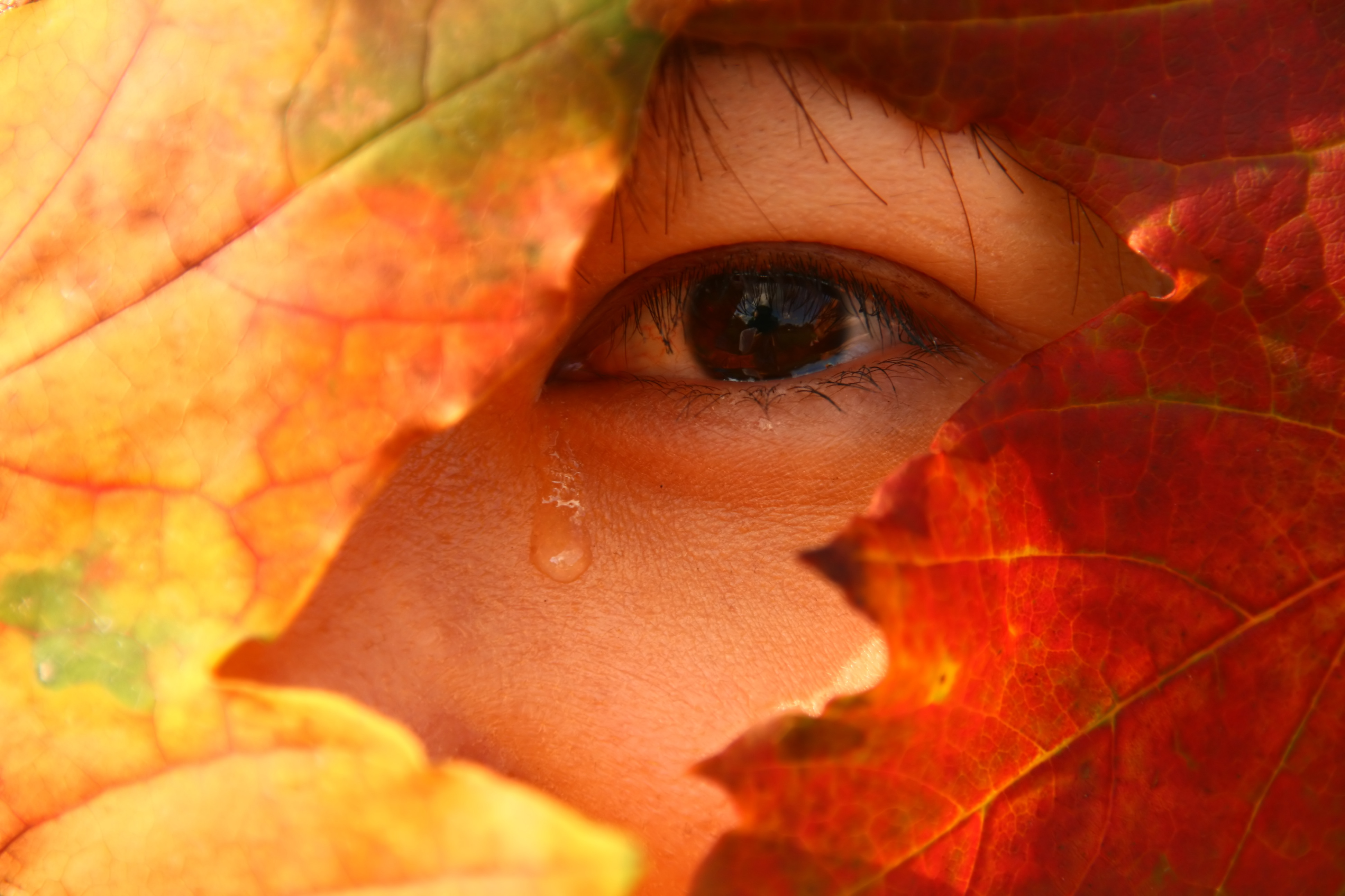Autism Risk May Be Buried in the Past