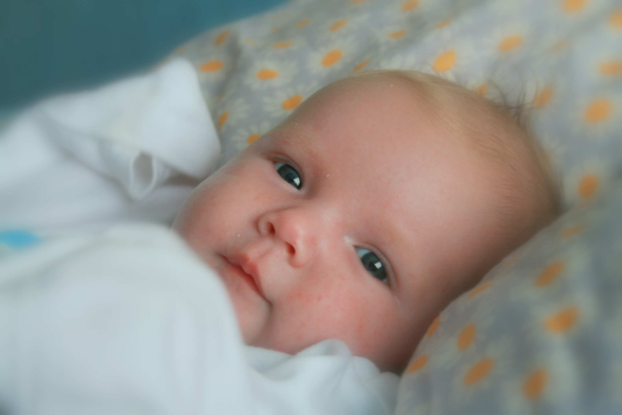 Favorable Pregnancies With Cystic Fibrosis