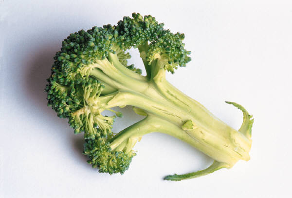 Broccoli Could Guard Against Arthritis