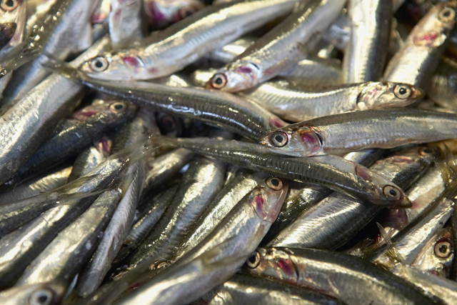 Omega 3: The Good, the Bad, and the Ineffective