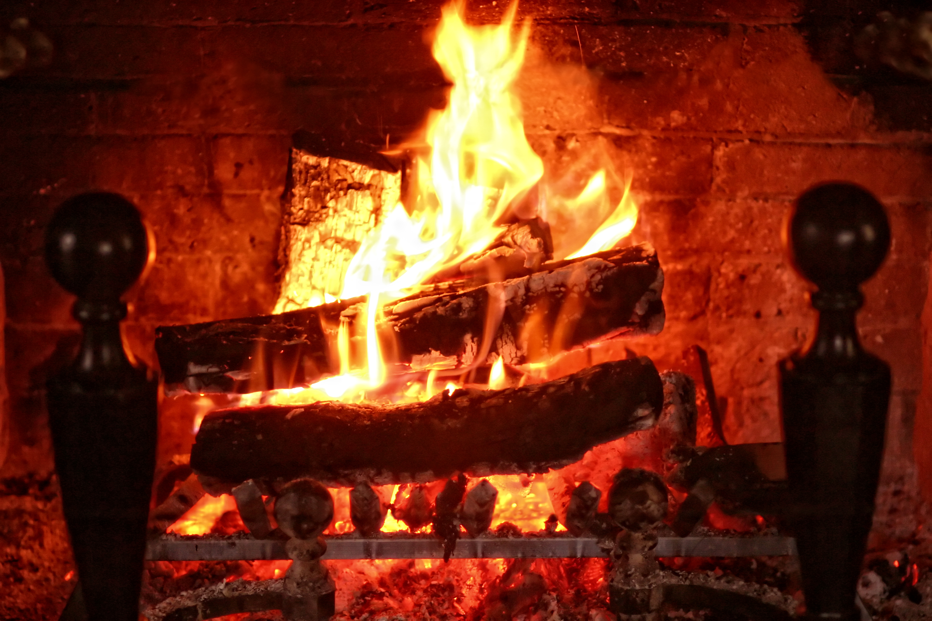 Warm Yourself with Heart-Warming Memories