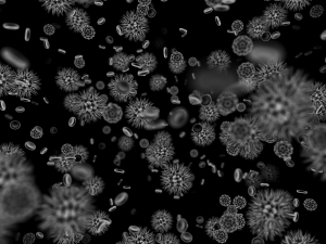 Infecting Cancer With a Virus