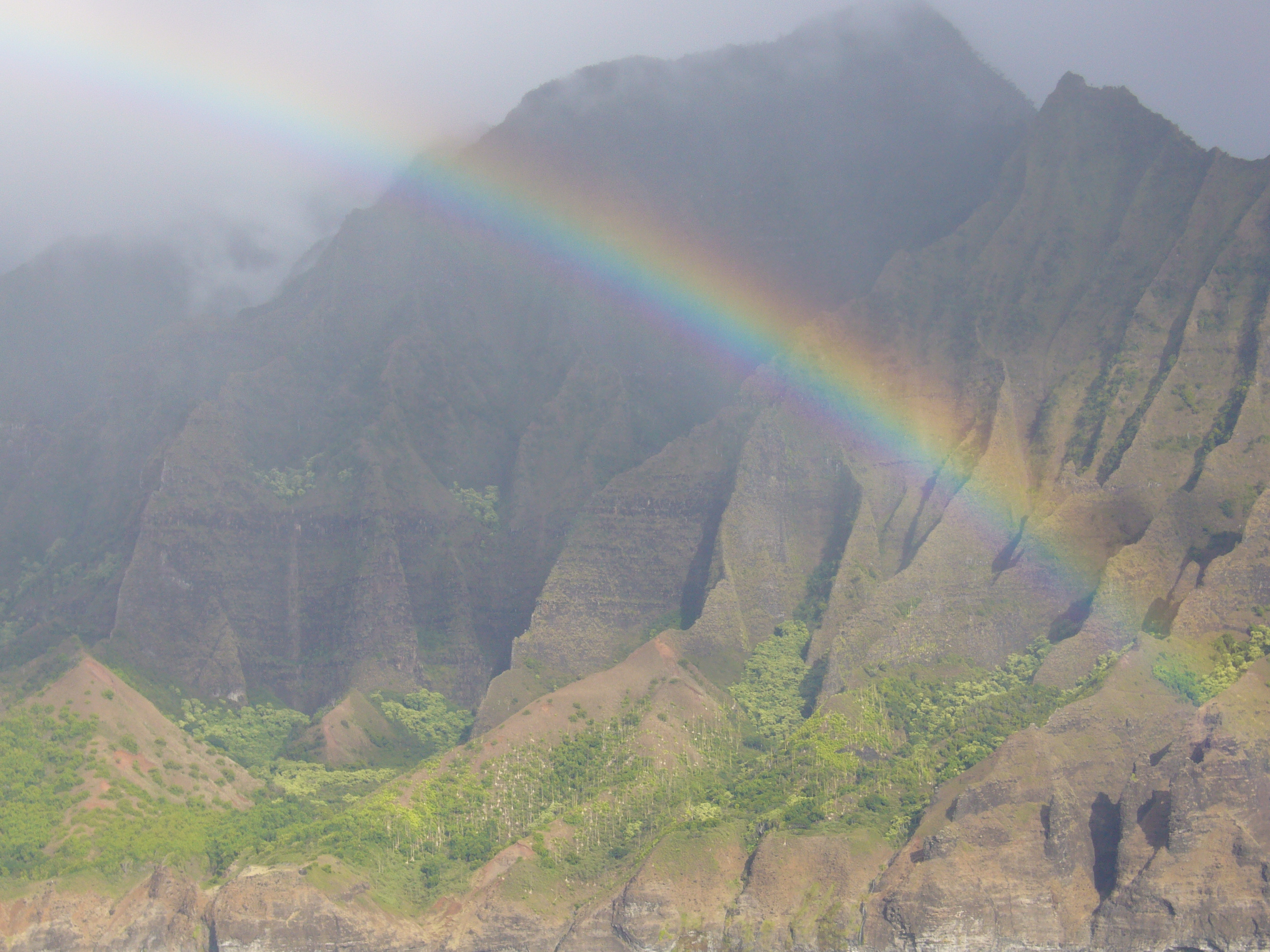 Are You Angry – or Grateful?