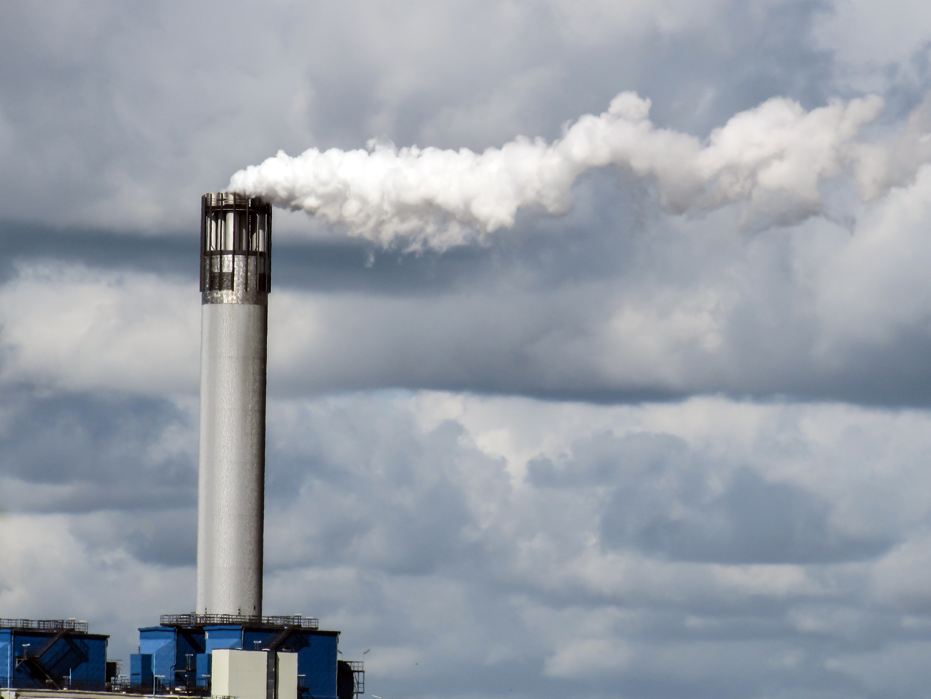 Ozone Level Linked to Pregnancy Outcomes