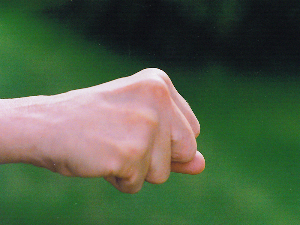 The Effects of Bullying on the Young