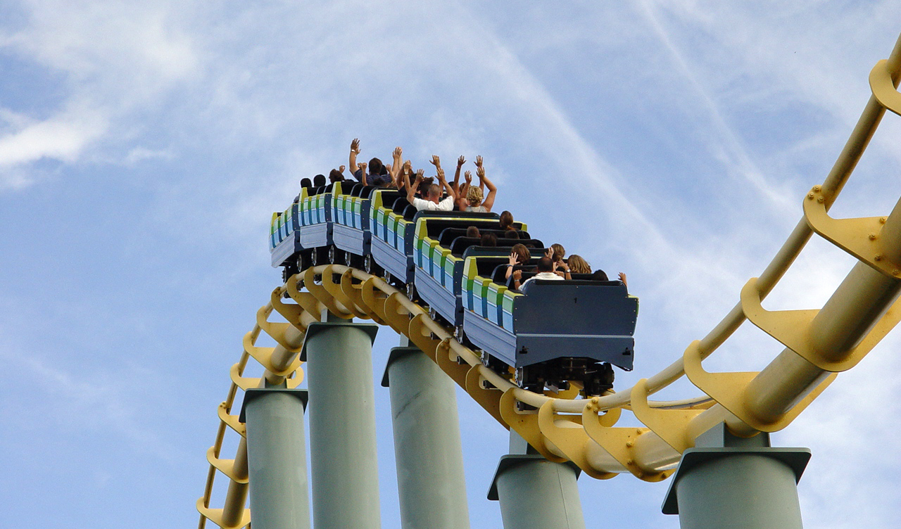 A Roller Coaster Ride into the ER