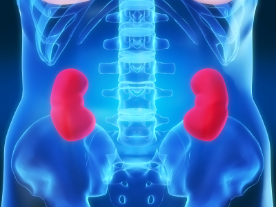 Cleaning Out the Pipes May Harm Kidneys