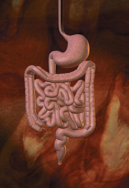 Adult Gastroenterology for Children