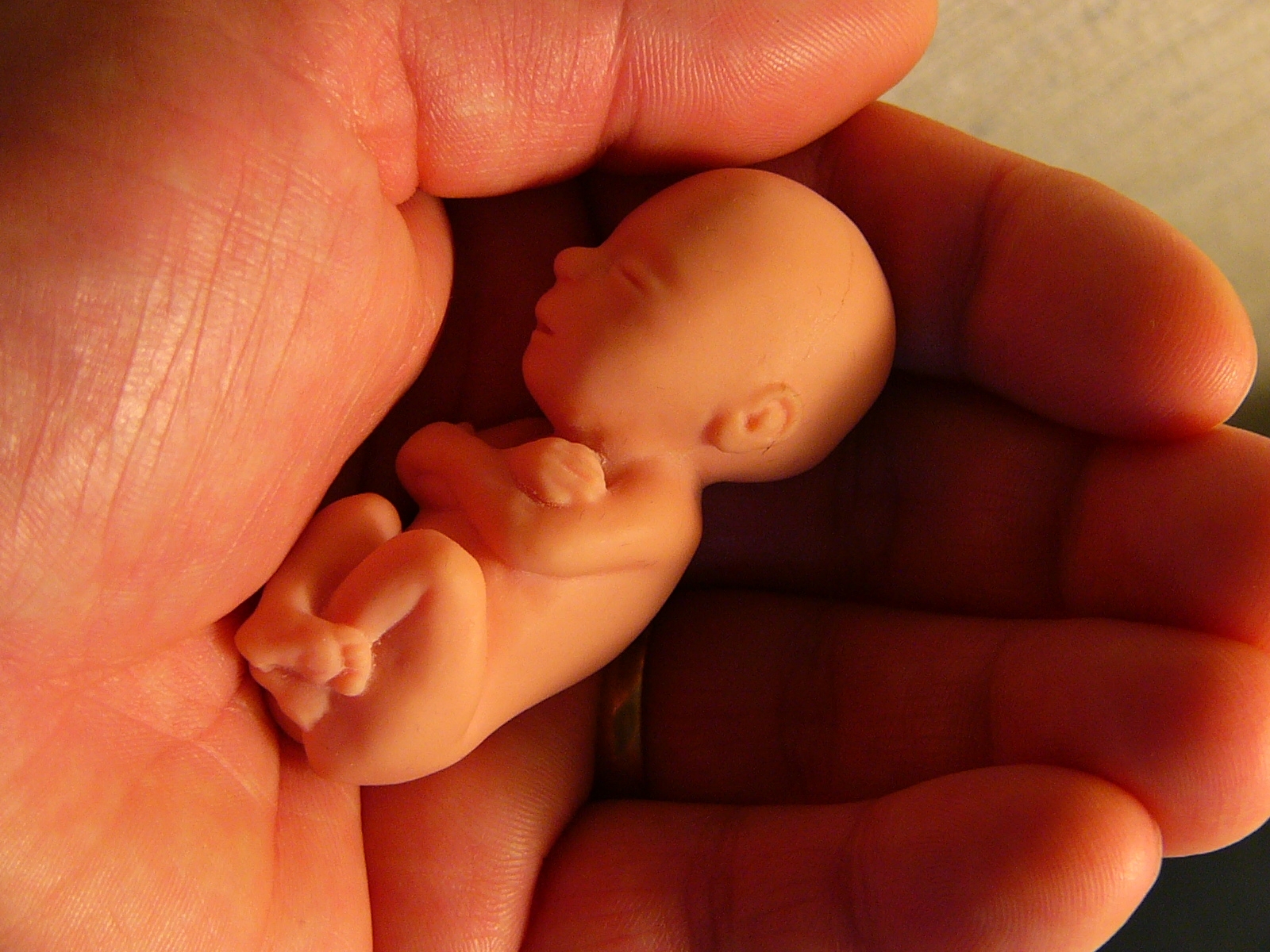 Binge Drinking and Pregnancy Don't Mix