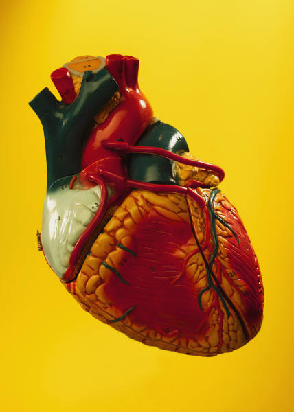 Catheter-based Aortic Valve Replacement