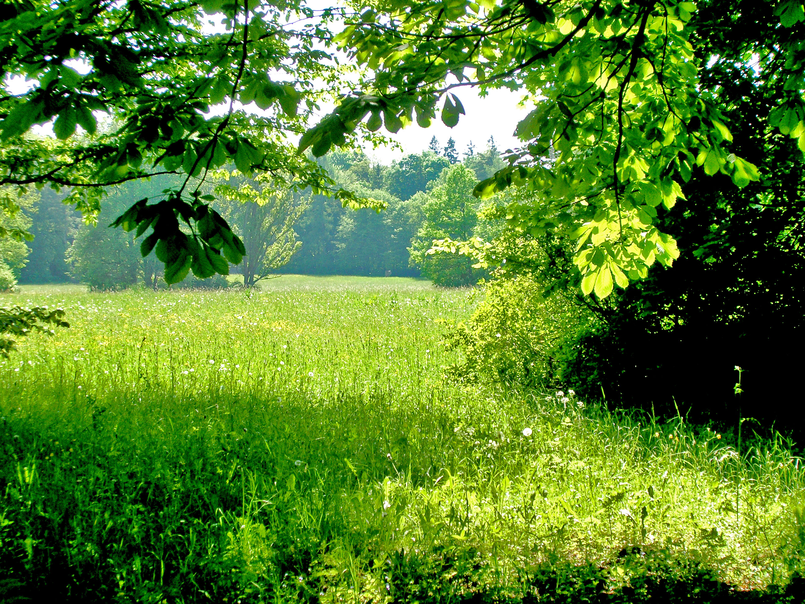 Reduce Stress! Enjoy Green Spaces