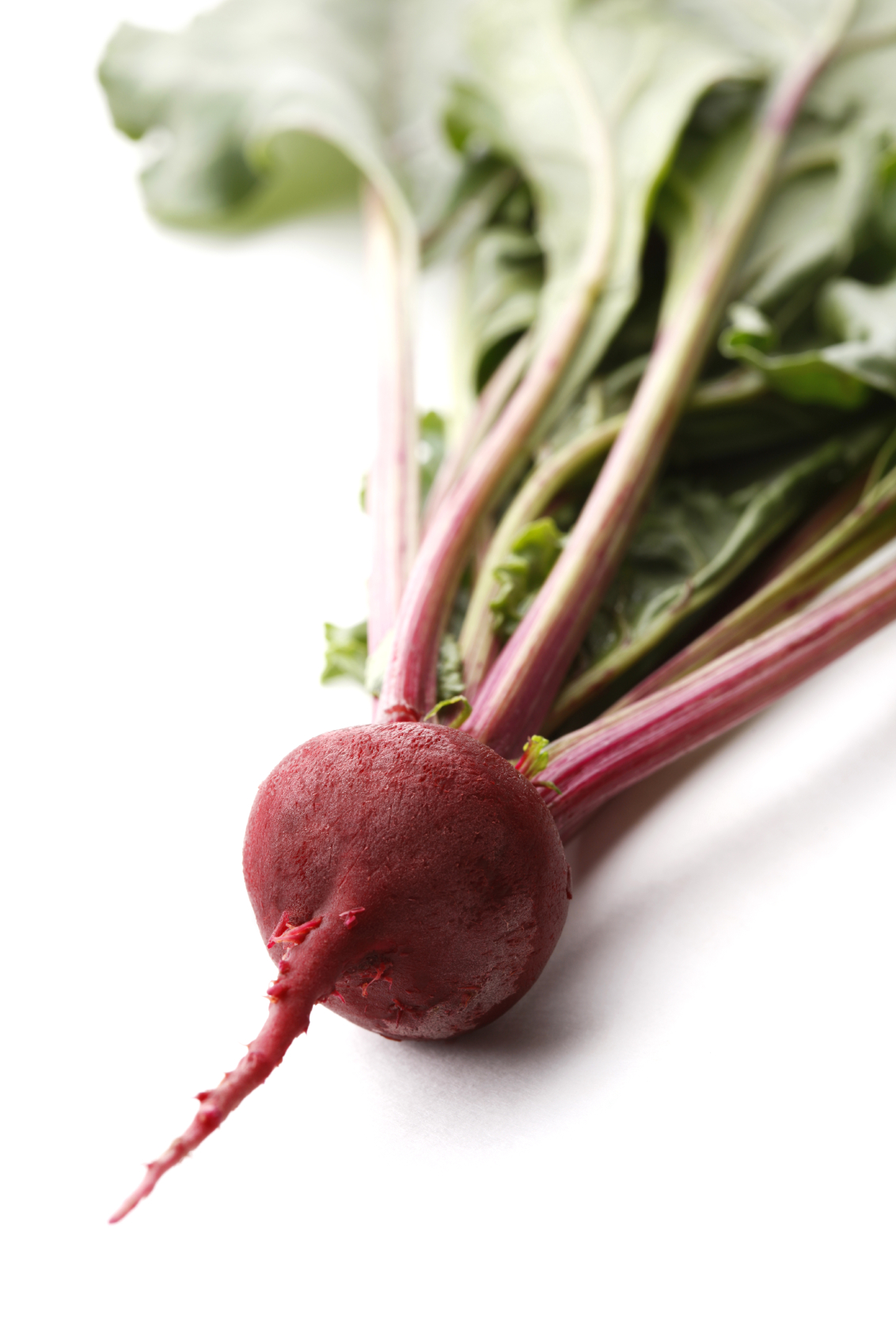 Can't Beet It