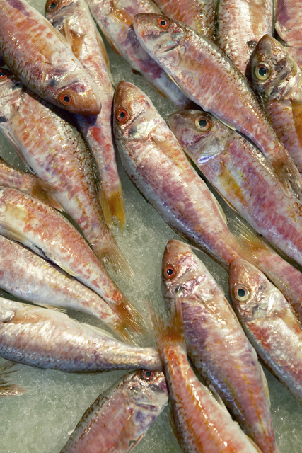 Something Fishy About Fish Oil  
