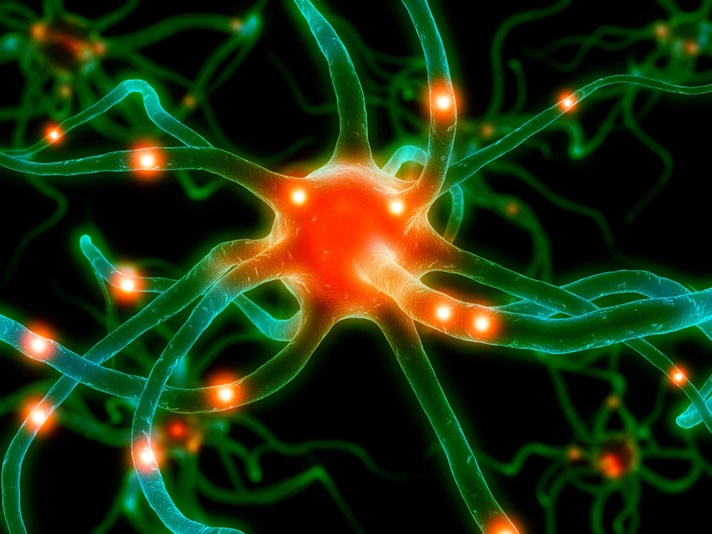 Anxiety: It's All in Your Head