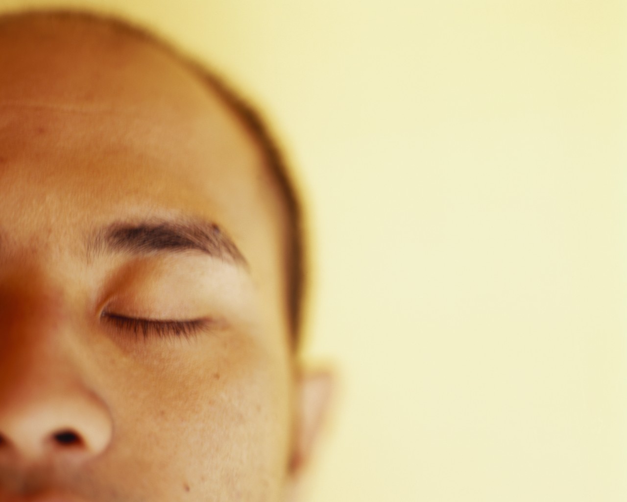 Tick-Tock: Circadian Clock Regulator Identified