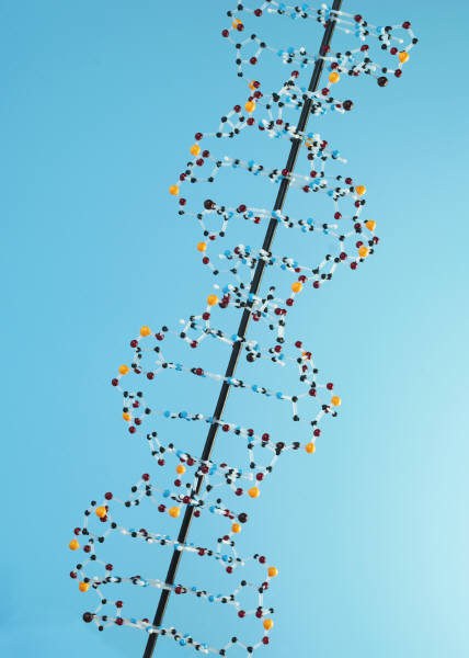 Eureka Moment in Leukemia Research