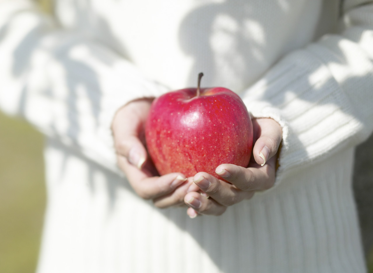 Obesity Blocks Kidney Donation