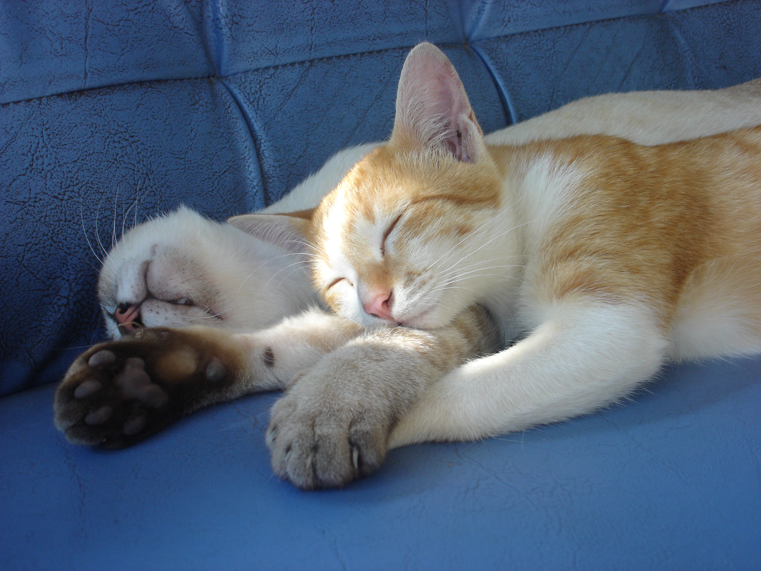 Slumping Slumber Remedies
