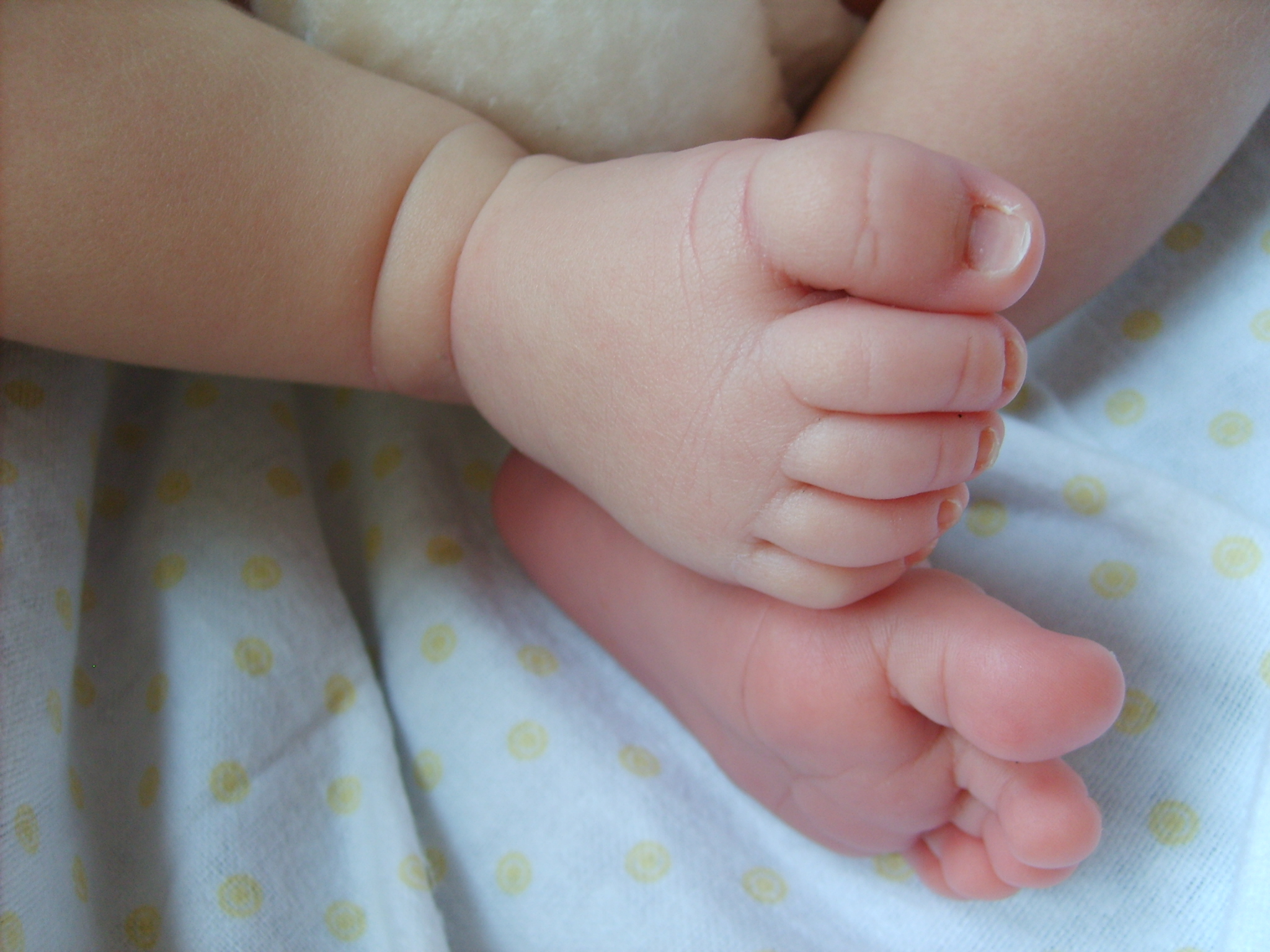 You May Be Expecting a Preemie
