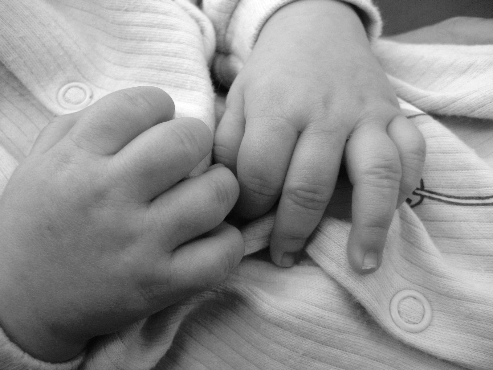 More Itsy Bitsy Teenie Babies Survive