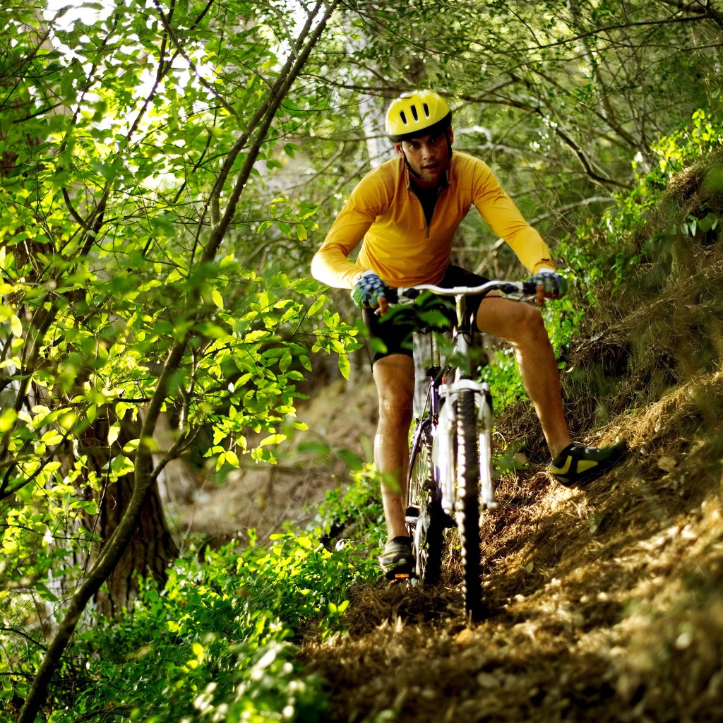 Breakdown of Triathlon Injuries