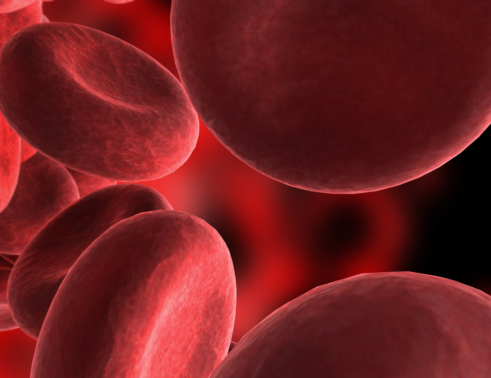 FDA Approves First Rapid Diagnostic Test to Detect Both HIV-1 Antigen and HIV-1/2 Antibodies