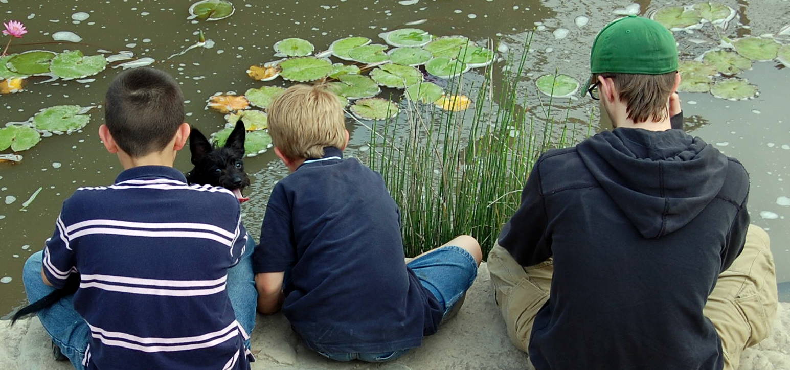 Mama's Boys and the HPV Vaccine
