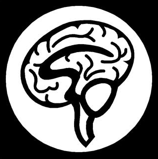 Brain Imaging Study Surprises Scientists