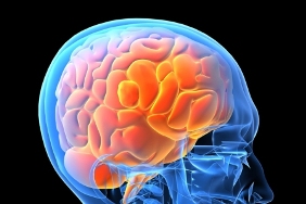 New Wave in Predicting Serious Mental Illness