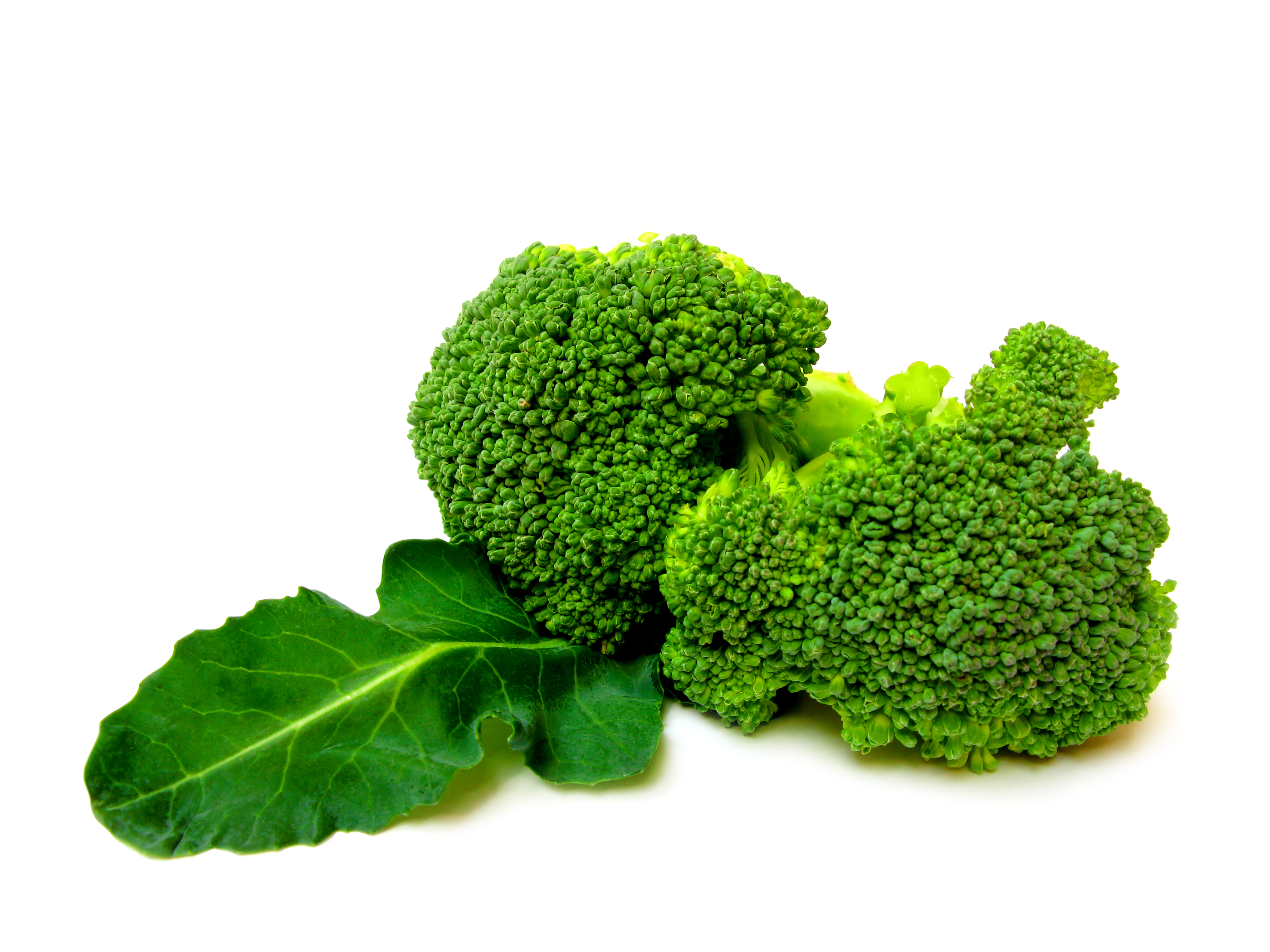 Reviving Broccoli’s Cancer-Fighting Punch