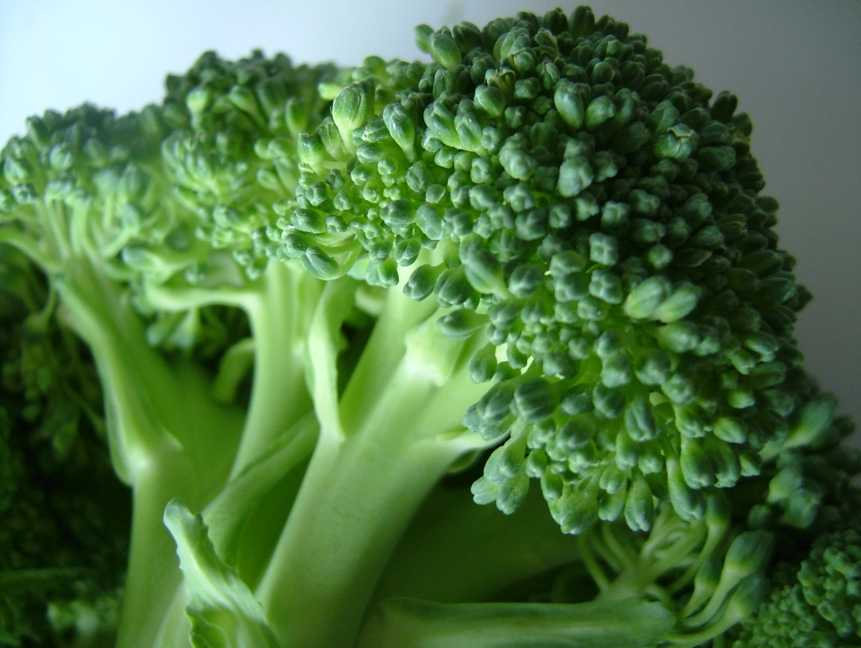 Concentrated Cruciferous Compound Cuts Cancer