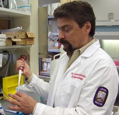 Virus Shows No Signs of Fatigue