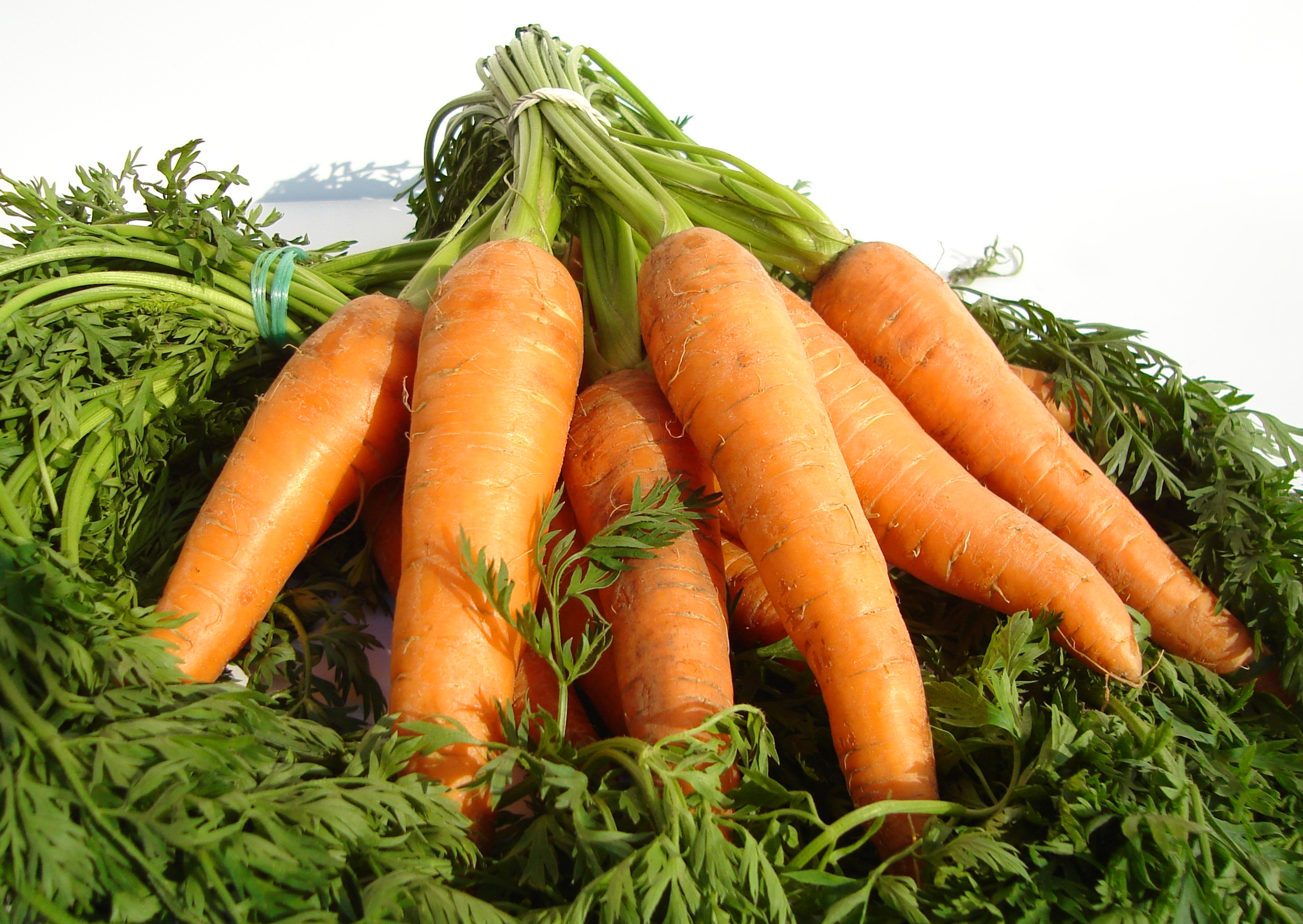 Can Vital Vitamins Help Slow Dementia?
