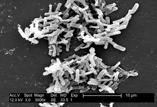 Do Acid Reflux Drugs Cause Diarrhea?