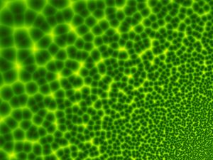 Pancreatic Cancer: A Genetic Maze