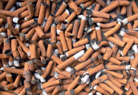 Saving Thousands of Butts 