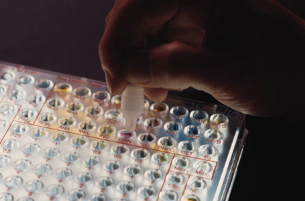 Cervical Cancer Vaccine Makes Phase II