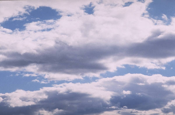 Cloud Computing Powers Brain Cancer Research
