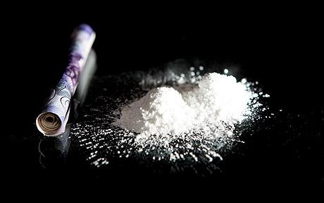 Protein Deficiency Suggests Reduced Cocaine Craving  