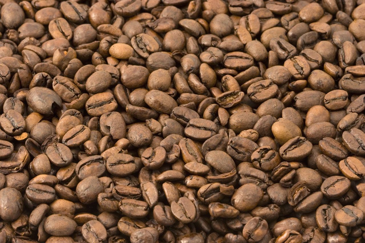 Daily Java Helps the Body Burn Fat