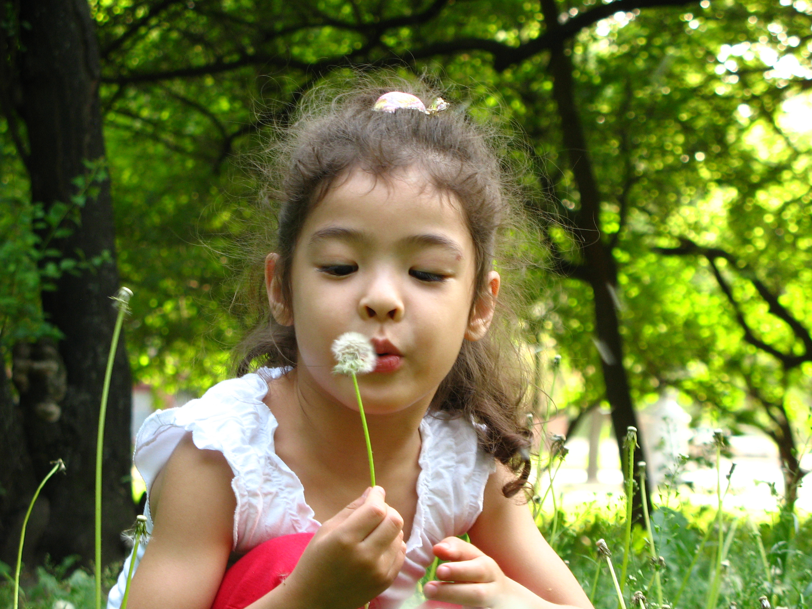 Kids Can Get Used to Allergies