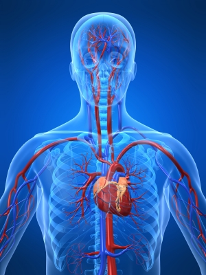 Cancer Treatment Breaks Hearts