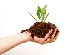 Soil Bacteria Could Improve Cancer Therapy