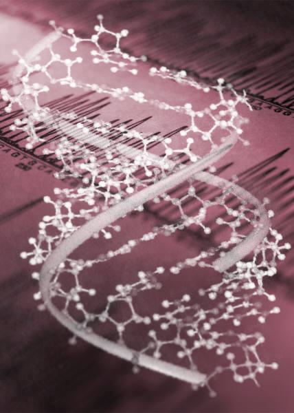 Berger's Disease in the Genes