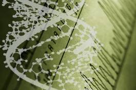 New Test Detects Treatable Lung Cancer Gene