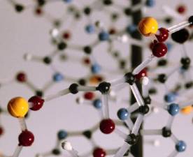 Chronic Myeloid Leukemia Advancements