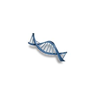 It's All About the Cancer Genes
